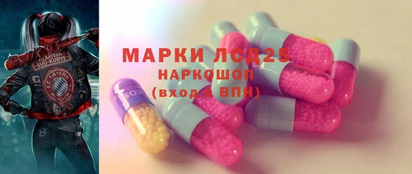 прущий лед Алзамай