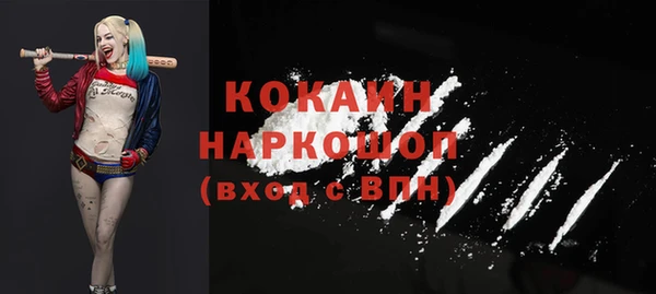 хмурый Алексин