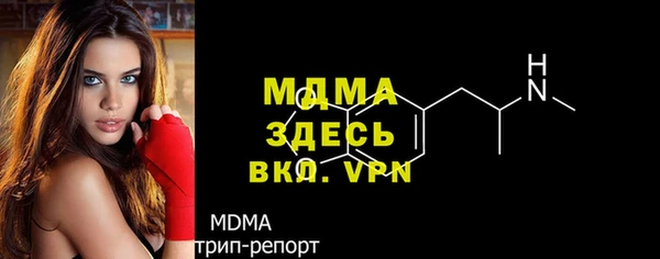 хмурый Алексин