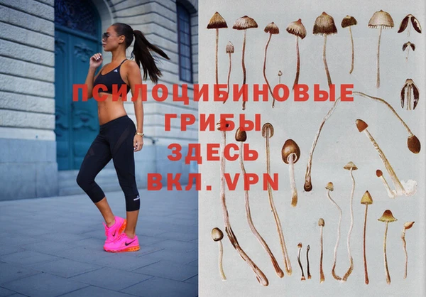 герыч Алексеевка