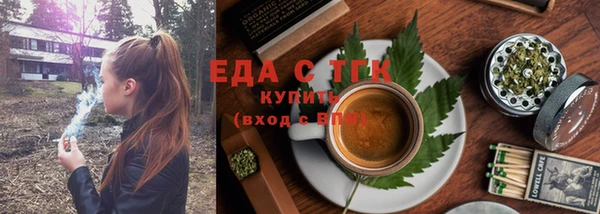 хмурый Алексин