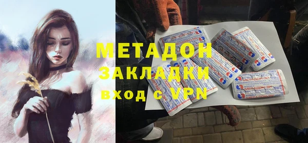 прущие грибы Рославль
