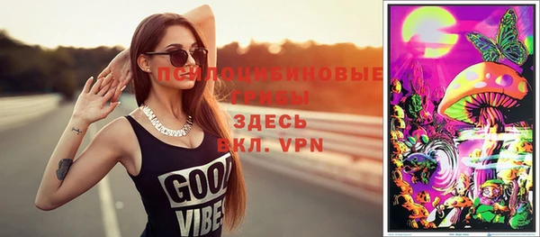хмурый Алексин