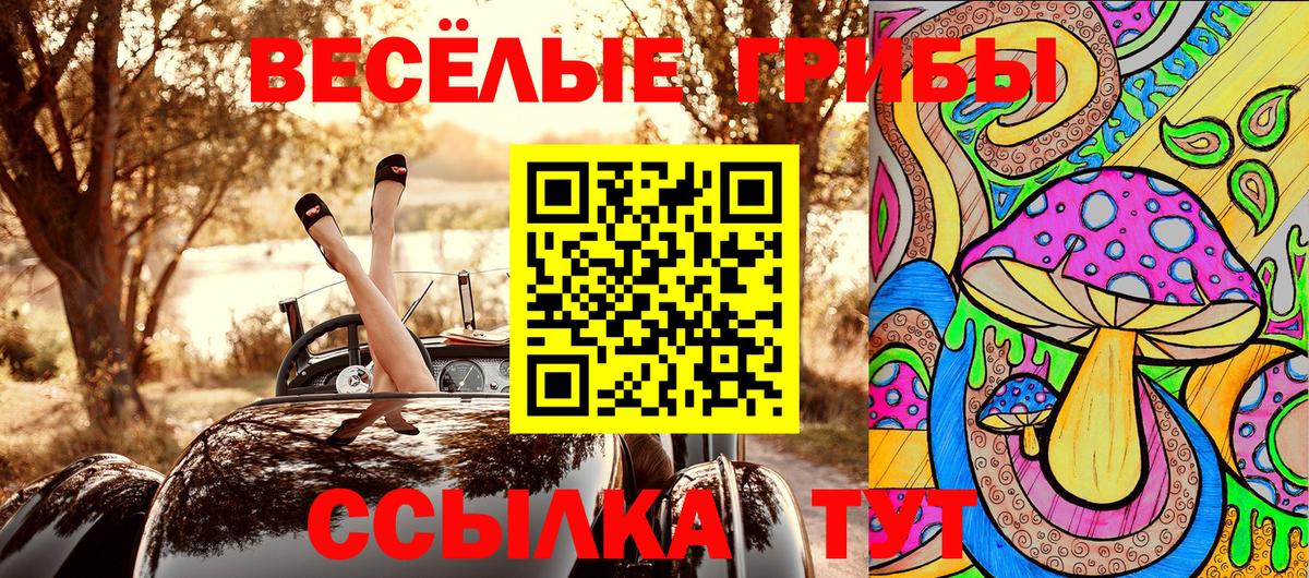 Псилоцибиновые грибы мухоморы  Псилоцибиновые грибы Magic Shrooms  Вход с VPN  Мегион 